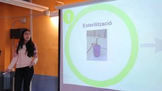 Treball de recerca de Batxillerat Productes higiènics i bacteris [upl. by Yhtrod]