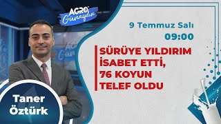 CANLI AGRO TV İle GÜNAYDIN  SÜRÜYE YILDIRIM İSABET ETTİ 76 KOYUN TELEF OLDU [upl. by Donoho]