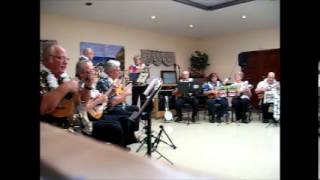 TEMECULA VALLEY UKULELE STRUMMERS  IN PERFORMANCE [upl. by Humfried]