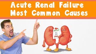 Acute Renal Failure Most common causes [upl. by Einapets187]