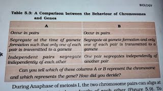 Difference between Chromosome and Gene  NCERT  BIOLOGY 12th [upl. by Googins]