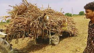 farminglife farming desi Bina driver tractor chalta hua Desi look fold 🚜🚜👳👳🌽🌽 [upl. by Xaviera]