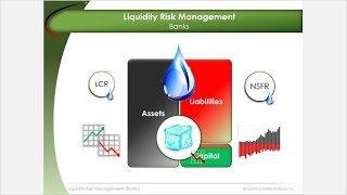 Liquidity Risk Management  Basel 3 [upl. by Llewoh307]