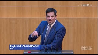 Hannes Amesbauer  Asylstraftäter sofort abschieben  Volksbegehren  2822024 [upl. by Chon]