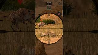 Hunting of hyaena in Africa huntingshort gaming [upl. by Eldora912]