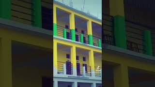 Royal Academy Birgunj  New Building  Work in Progress  qualityeducation [upl. by Ahsiat]