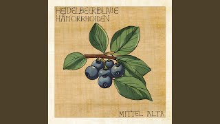 Heidelbeerblaue Hämorrhoiden [upl. by Isied]