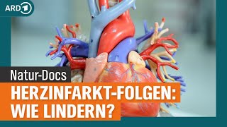 HerzinfarktFolgen lindern Atemtherapie Ernährung und Bewegung  NDR [upl. by Ammamaria338]