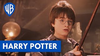 Harry Potter 2 Full Movie Review amp Explained in Hindi 2021  Film Summarized in हिन्दी [upl. by Femi804]