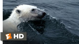 Arctic Tale 110 Movie CLIP  Hunting Walrus 2007 HD [upl. by Ttevi529]