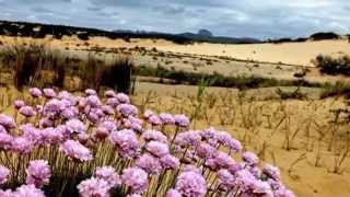 SARDEGNA  PISCINAS  Le dune magiche [upl. by Ainoloppa584]