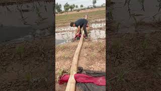 Irrigation Hose With Multiple Water Outlets Working Demonstration Process [upl. by Huskey]