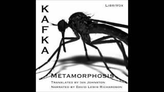 The Metamorphosis by Franz Kafka Free Audio Book in English Language [upl. by Aesoh]