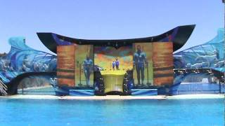 Sea World One Ocean Complete Show [upl. by Drannel]