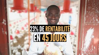 23 de rentabilité en 45 Jours  ELEVAGE DE POULETS  Le meilleur business à faire en Afrique [upl. by Eolcin]