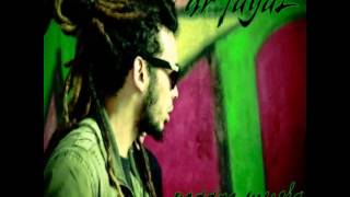 Dr Fayal REGGAE MUSIC [upl. by Aivitnahs494]