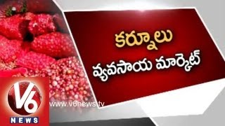 Kurnool Onion Market  Top Quality Onions Available [upl. by Nsaj]