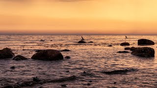 Fehmarn  Ostsee Yachthafen Steilküste [upl. by Chaudoin480]