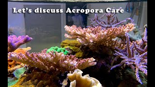 Let’s discuss Acropora Care [upl. by Aivatahs]