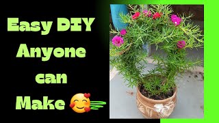 Easy DIY Anyone can make portuluka Topiary diytopiary portulacaflower [upl. by Ennoira730]