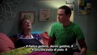 Soft kitty warm kitty The Big Bang Theory [upl. by Tteragram]