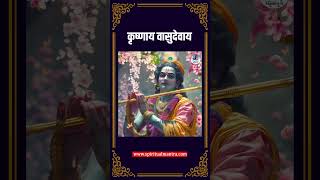 Om Krishnaya Vasudevaya  सबसे शक्तिशाली कृष्ण मंत्र  Krishna shorts shortvideo mantra [upl. by Drarej248]