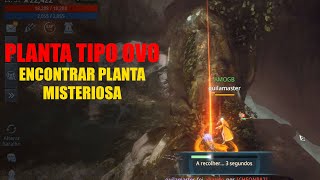 Missão Planta Tipo Ovo Encontrar Planta Misteriosa Mir4 [upl. by Tega]