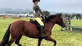 Jess amp Polly 143 MampM worker hunter  Moreton in Marsh  6th place  Hoys qualifier [upl. by Meier]