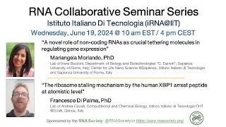 RNA Collaborative Seminar  RNA Initiative at the Italian Institute of Technology June 19 2024 [upl. by Oivlis]