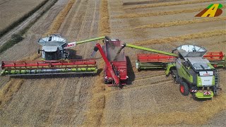 Getreideernte 2020  Claas Lexion 770 amp 780 im Großeinsatz  Lebensmittel aus der Landwirtschaft [upl. by Ynffit]