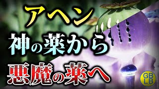 神の薬から悪魔の薬へ小学生でもわかるアヘンの歴史。幸福と不幸を運んできた魔法の植物について [upl. by Dolora]