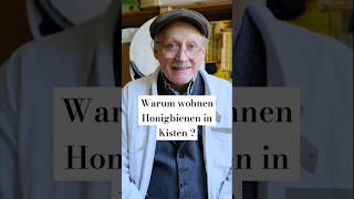 Warum Honigbienen in Kisten leben honigbiene hausbiene [upl. by Aicnelav]