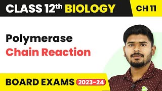 Tools of Recombinant DNA Technology  Class 12 Biology Chapter 11 202223 [upl. by Aihsia]