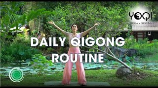 DAILY QIGONG ROUTINE [upl. by Ahtnamys]