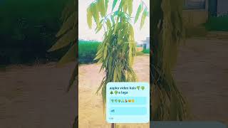 Kamal ka phool video dekho 🌷🥀🌹💐 [upl. by Tanaka]