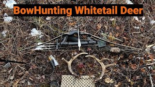 Traditional Bowhunting in Northern Saskatchewan for Whitetail Deer [upl. by Henriha296]