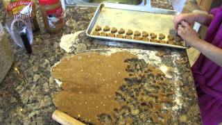 How to make HEALTHY homemade dog treats [upl. by Gnanmos575]