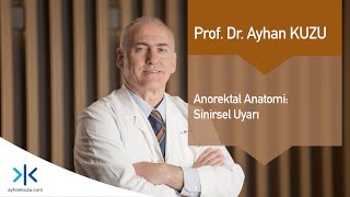 Anorektal Anatomi 7  Sinirsel Uyarı [upl. by Hsoj717]