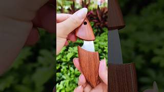 Pocket knife outdoor knife delivery knife knife FruitKnife YTShorts [upl. by Leen]