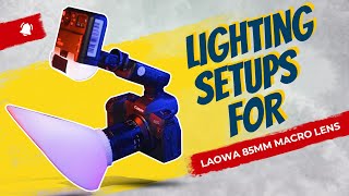 Lighting Solutions for the Laowa 85mm Macro Lens [upl. by Rosette320]