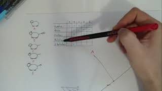 Como fazer um cladograma [upl. by Savanna]