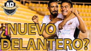 ¿NUEVO DELANTERO PARA PUMAS  NOVEDADES DE REFUERZOS [upl. by Aborn]