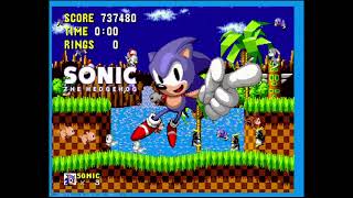 Sonic The Hedgehog in 836 World Record [upl. by Edecrem]