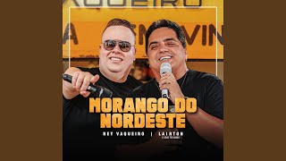 Morango do Nordeste Ao Vivo [upl. by Eladnwahs785]