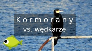 Kormorany vs Wędkarze [upl. by Ydwor5]