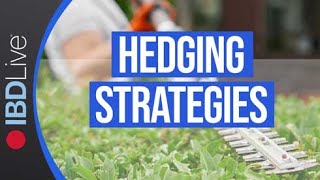 Use These Hedging Strategies To Protect Your Portfolio When Downside Reversals Happen  IBD Live [upl. by Greeley]