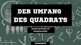 Der Umfang des Quadrats  Formel zur Berechnung des Umfangs u eines Quadrats  Beispiele Mathematik [upl. by Heydon]