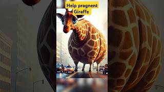 Help pragnent Giraffe giraffe help rescue animals animallover shorts [upl. by Dlawso]