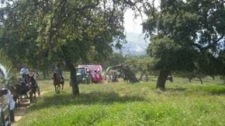 Romeria Setenil 2008 [upl. by Hyland632]