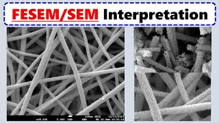 How to Interpret SEM Images [upl. by Flemings]